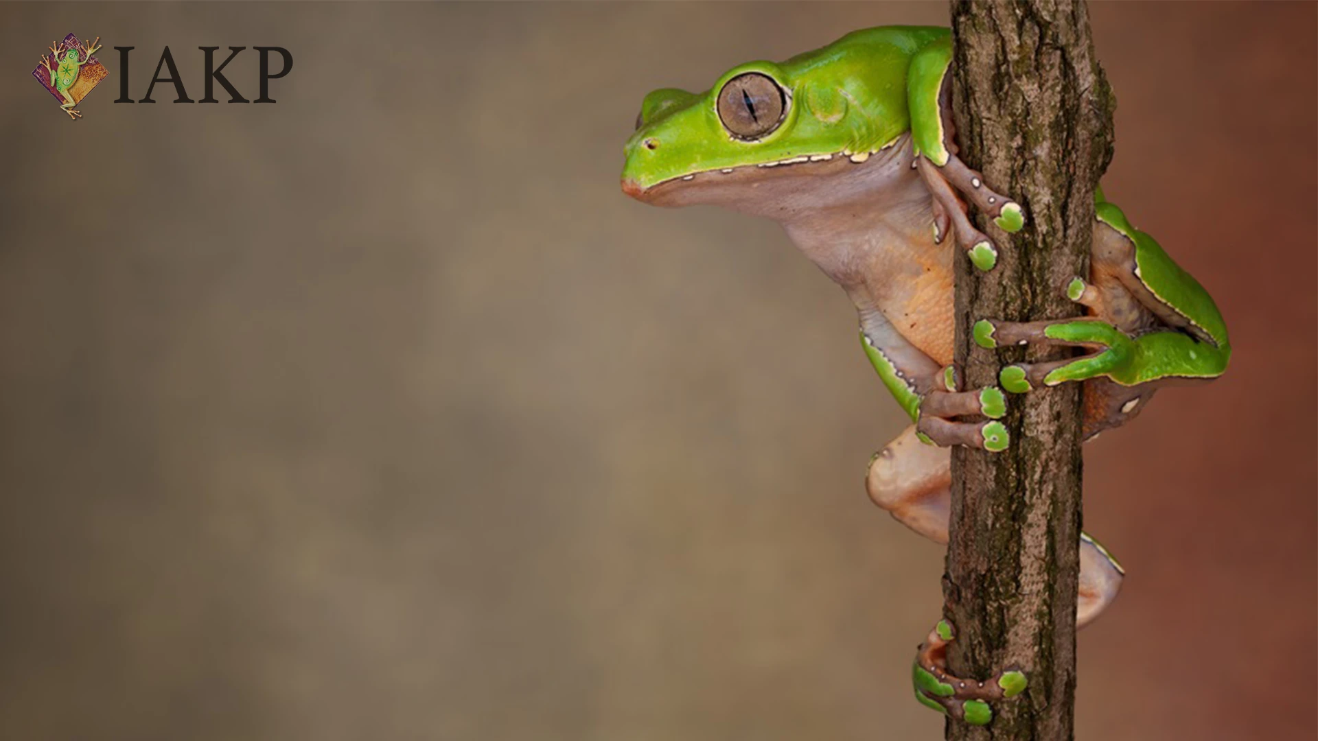 Workshops and retreats