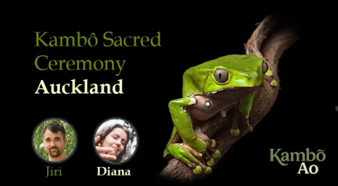 Kambo Auckland